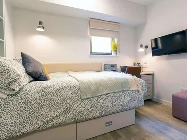 Privatzimmer im Wohnheim in der Seren, 66 Alexandra Road, Swansea, SA1 5BD, United Kingdom, bild 35 von 39