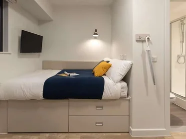 Privatzimmer im Wohnheim in der Seren, 66 Alexandra Road, Swansea, SA1 5BD, United Kingdom, bild 36 von 39