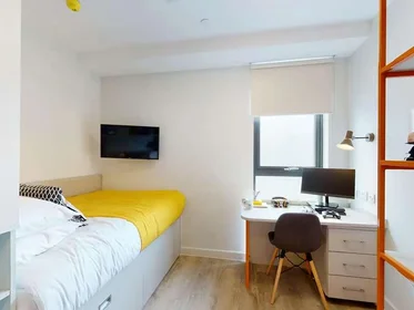 Privatzimmer im Wohnheim in der Seren, 66 Alexandra Road, Swansea, SA1 5BD, United Kingdom, bild 38 von 39
