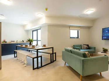 Chambre privée en résidence à Seren, 66 Alexandra Road, Swansea, SA1 5BD, United Kingdom, image 8 de 42