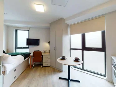 Chambre privée en résidence à Seren, 66 Alexandra Road, Swansea, SA1 5BD, United Kingdom, image 37 de 42