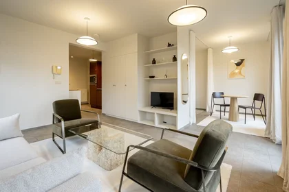 Entire apartment at Lange van Sterbeeckstraat, Amandus-Atheneum, image 7 of 10