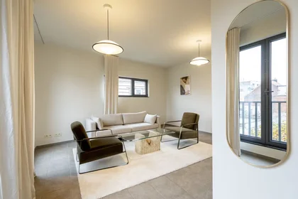 Entire apartment at Lange van Sterbeeckstraat, Amandus-Atheneum, image 9 of 10