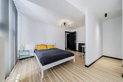 Prywatny pokój Rue du Parc, Mons, obraz 1 8