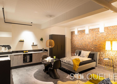 Furnished studio in bonn
