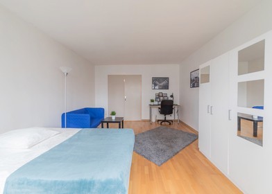 Cheap private room in strasbourg