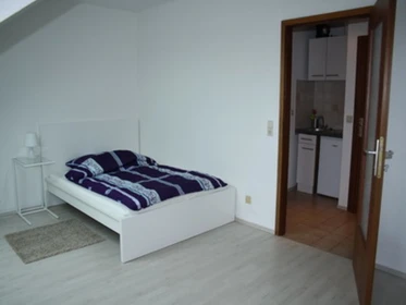 Furnished studio in Mannheim