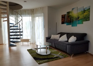 Modern and bright flat in Leverkusen
