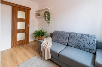 Alojamiento entero en  Al. Wyszyńskiego , imagen 12 de 28