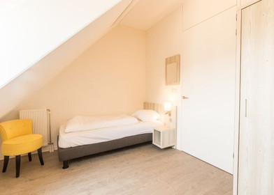 Alojamiento con 3 habitaciones en Maastricht