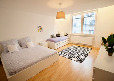 Entire fully furnished flat in Ludwigshafen Am Rhein
