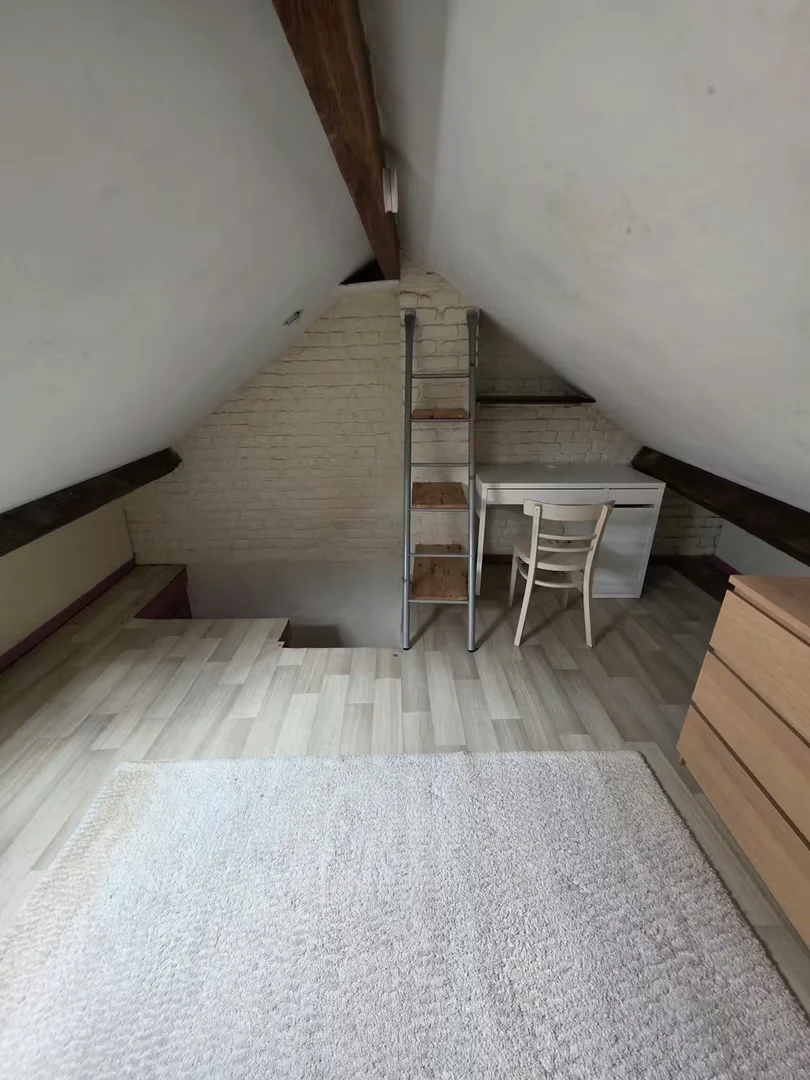 Chambre d'étudiant économique avec emplacement pratique dans