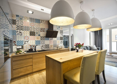 Entire fully furnished flat in warszawa