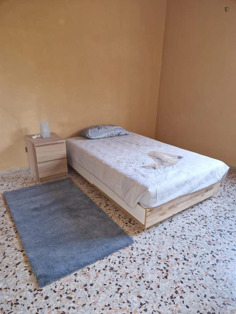 Camera per studenti economica vicino al campus a 