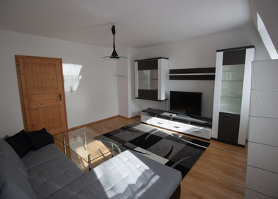Two bedroom accommodation in Heidelberg