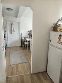 私人房间 在 Grote Visserijstraat, Delfshaven, 10的图像5