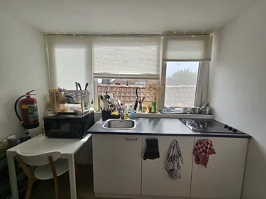 私人房间 在 Grote Visserijstraat, Delfshaven, 10的图像7