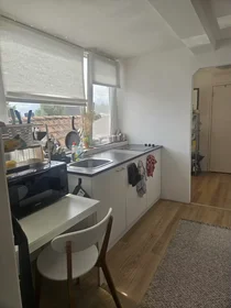 私人房间 在 Grote Visserijstraat, Delfshaven, 10的图像9