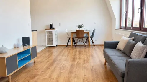 Entire apartment at Pistoriusstraße, Bezirk Pankow, image 2 of 8