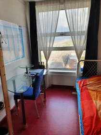 Özel oda konumu Zwolsestraat, 8 10 görüntüsü