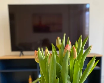 Privatzimmer in der Lessingstraße, bild 19 von 25