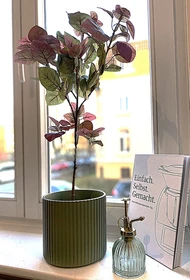Privatzimmer in der Lessingstraße, bild 6 von 25
