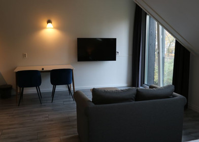 Stylowe mieszkanie typu studio w amsterdam