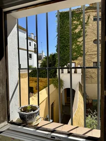 Apartamento inteiro em Calle Conde de Ibarra 6, imagem 21 de 26