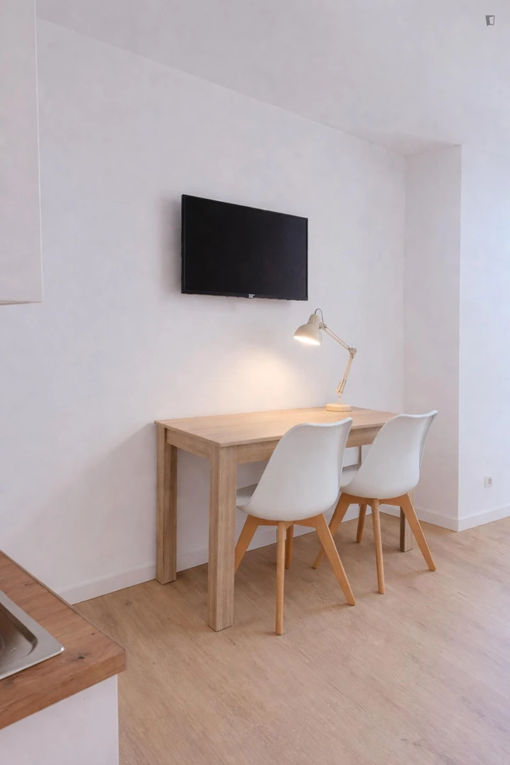 Affordable studio apartment with essential features in 