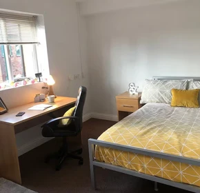 Zimmer mit Doppelbett zu vermieten Sheffield