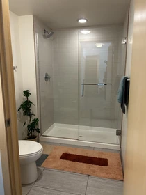 Entire apartment in residence at NE Brooklyn Ave NE Seattle, WA 98105, image 21 of 36