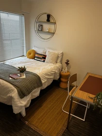 Entire apartment in residence at NE Brooklyn Ave NE Seattle, WA 98105, image 32 of 36