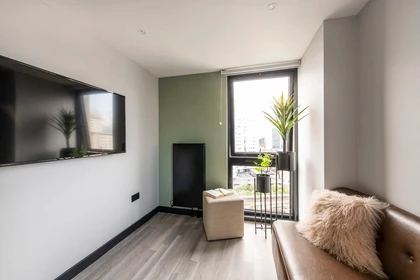 Alojamiento entero en residencia en Zenith, Herbert St, Cardiff CF10 4DG, United Kingdom, imagen 2 de 29