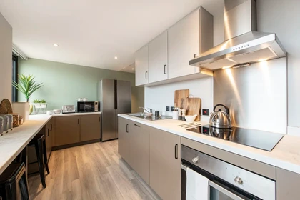 Alojamiento entero en residencia en Zenith, Herbert St, Cardiff CF10 4DG, United Kingdom, imagen 4 de 29