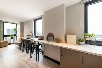 Alojamiento entero en residencia en Zenith, Herbert St, Cardiff CF10 4DG, United Kingdom, imagen 5 de 29