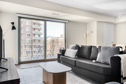 Appartamento intero in 9th Street North, Virginia Square, immagine 1 di 10