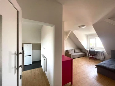 Accommodation with 3 bedrooms in Mannheim