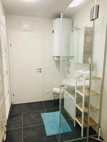 Logement entier à Grenadiergasse 12/17, image 13 de 15