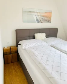 Logement entier à Grenadiergasse 12/17, image 7 de 15