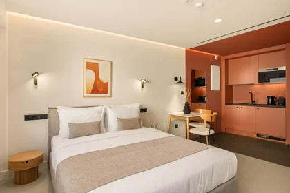 Entire apartment at Mpotasi, Athens, image 4 of 10