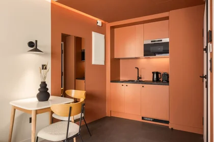 Entire apartment at Mpotasi, Athens, image 6 of 10