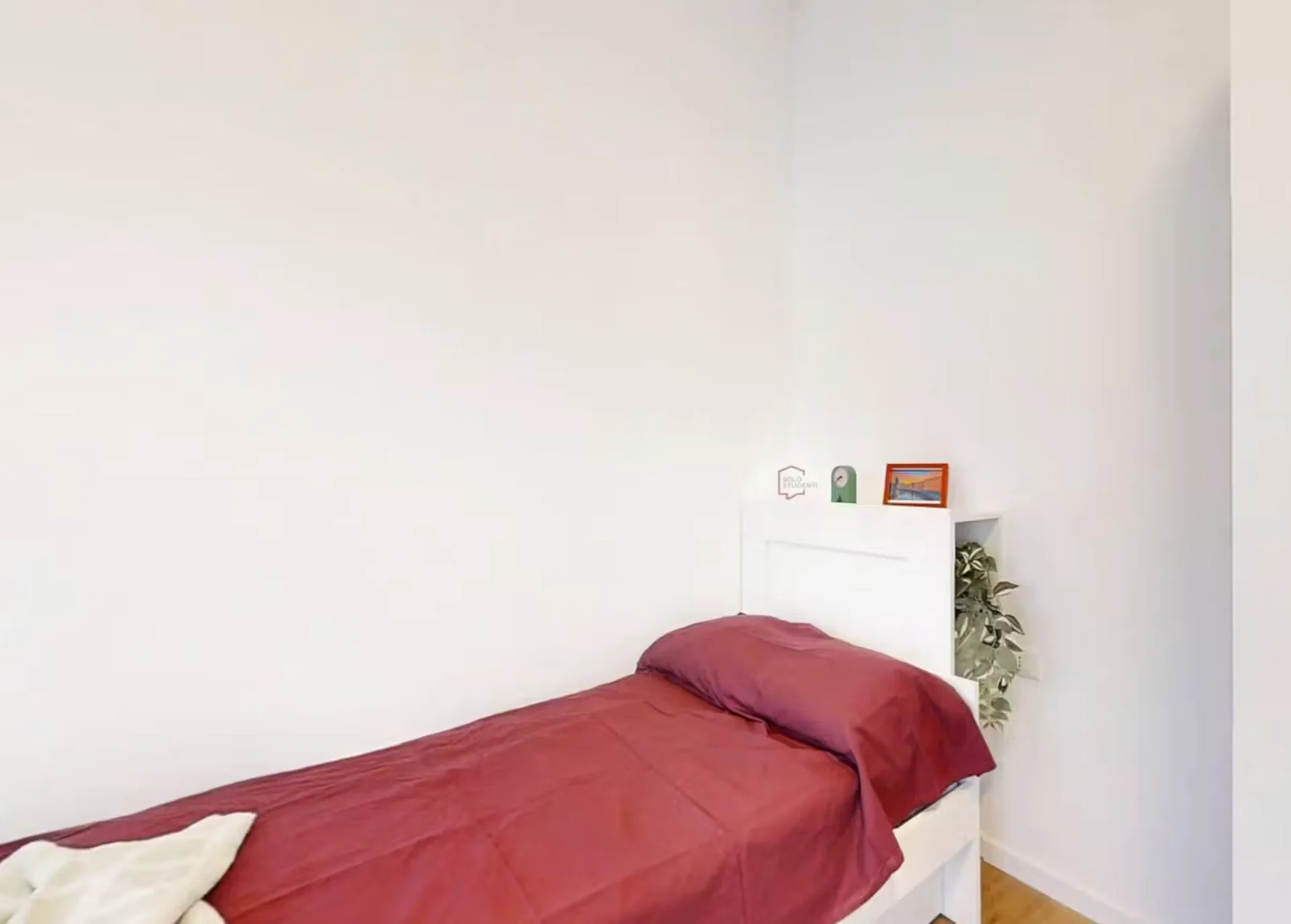 Bezahlbares Zimmer für Studenten mit ausreichender Beleuchtung in 