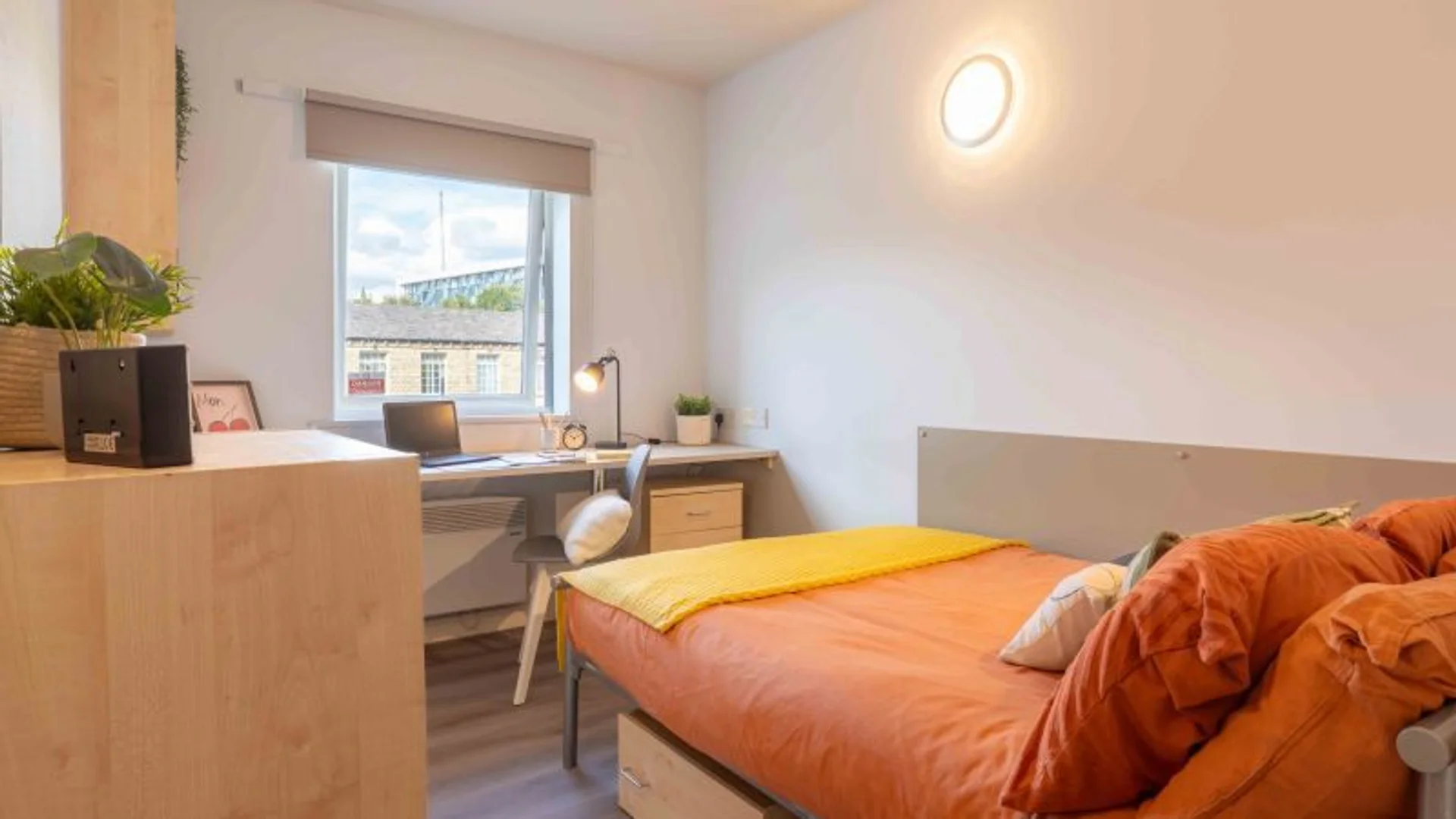 Budget-friendly student room close to campus in 