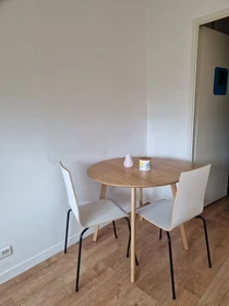 Gesamte Unterkunft in der Boulevard Saint-Aignan, Bellevue-Chantenay, bild 2 von 8
