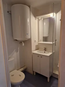 Gesamte Unterkunft in der Boulevard Saint-Aignan, Bellevue-Chantenay, bild 4 von 8