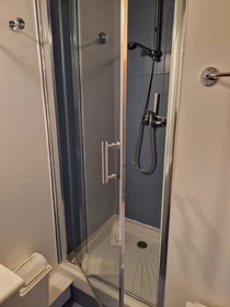 Gesamte Unterkunft in der Boulevard Saint-Aignan, Bellevue-Chantenay, bild 6 von 8