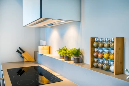 整租 在住宅内 在 247 Peel St, North Melbourne VIC 3051, Australia, 114的图像83