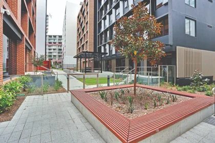 Quarto privado em residência em 483 Wattle Street, Ultimo NSW 2007, imagem 10 de 21