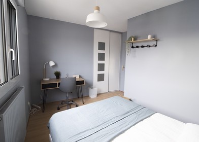 Room for rent with double bed Lyon