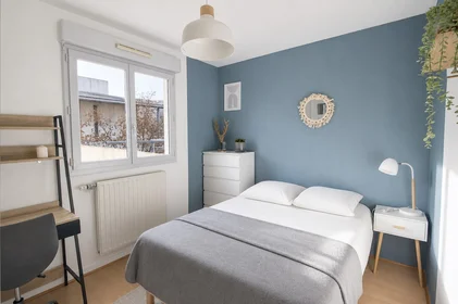 Stanza privata in 203 Avenue Félix Faure, immagine 1 di 9